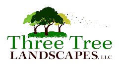 Three Tree Landscapes